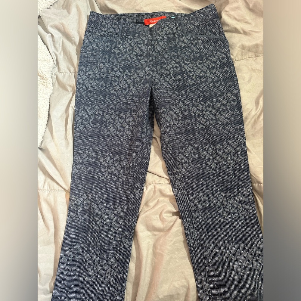 ANTHROPOLOGIE Cartonnier Pants Womens Size 4 Blue Print Charlie Ankle Side Zip